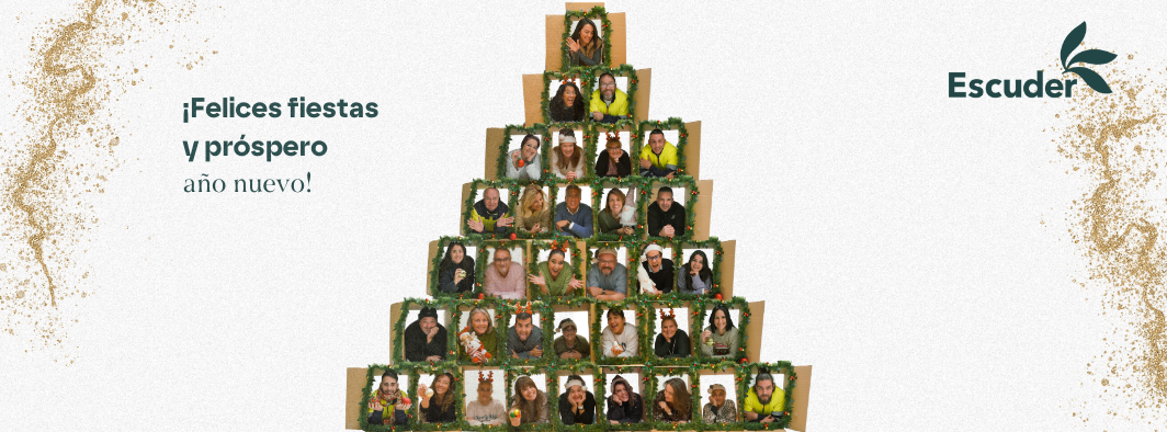 🎄 Christmas Holiday Closure 🎄